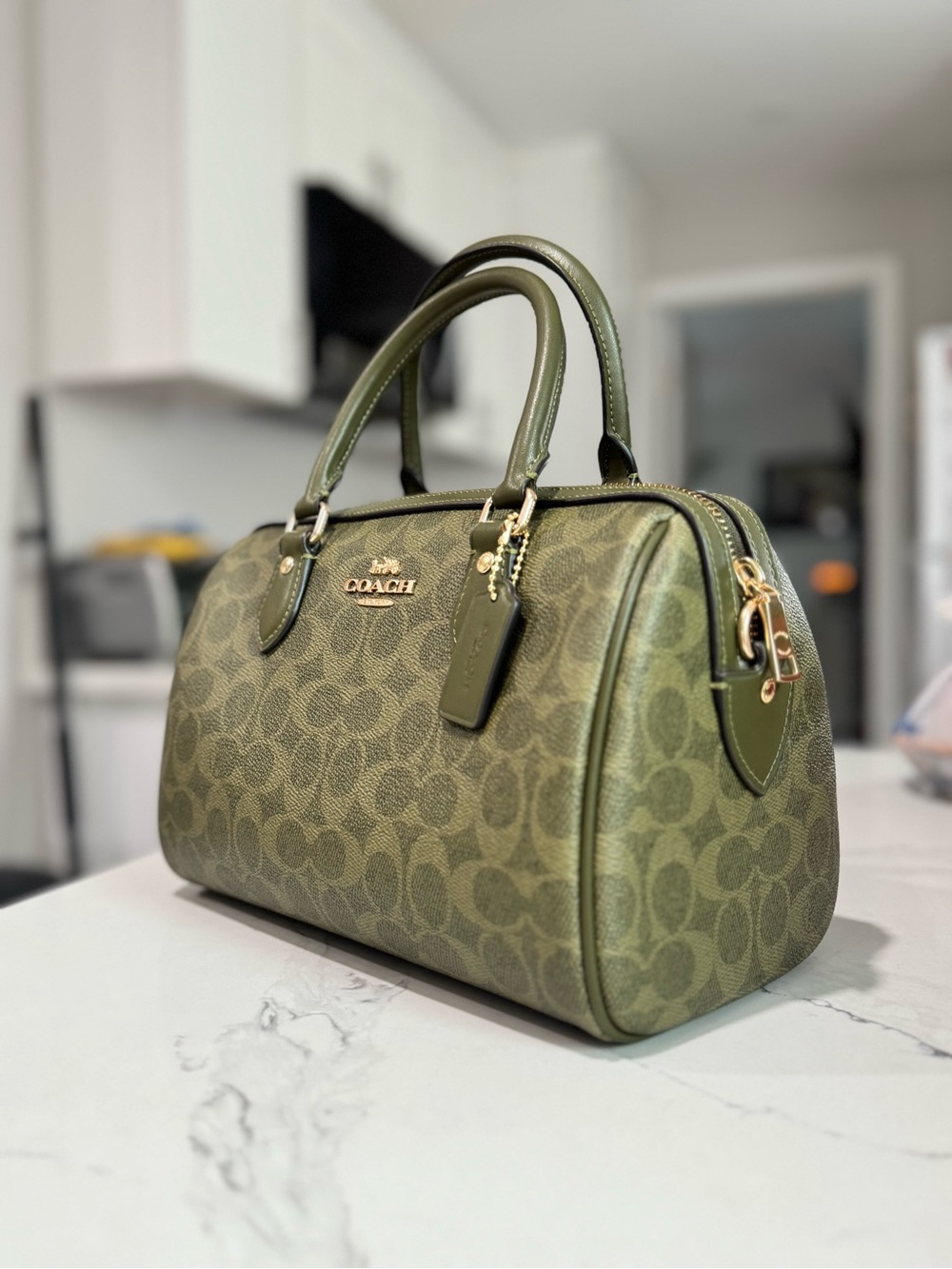 Coach - Rowan Satchel - Olive Signature - Picture 3 of 6